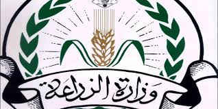 تصدير اول شحنة خضر للسوق الفلسطينية
