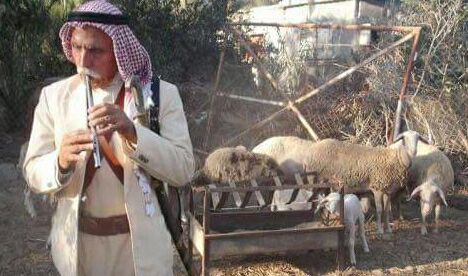 عن مشهد الدلابيح وشبابته في (تلفزيون