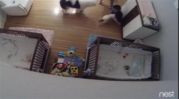 بالفيديو: طفل شجاع يتلقف شقيقه الرضيع