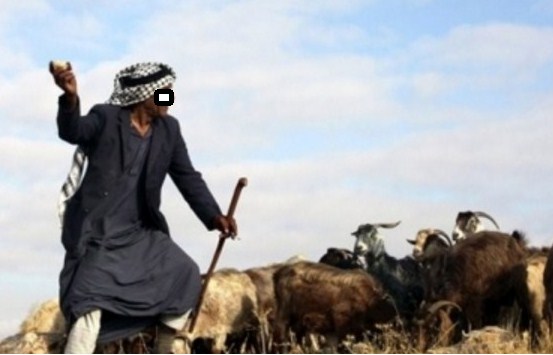 النواب يحددون سقف رواتب رعاة الأغنام