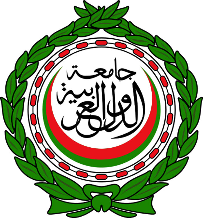 أبو الغيط: القضاء على الارهاب والتطرف