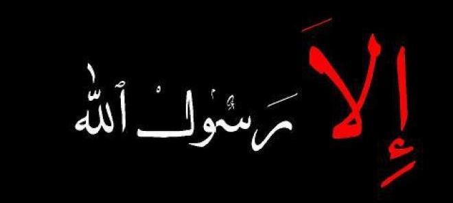 التلفزيون الهولندي يعرض رسوما مسيئة (أرادوا