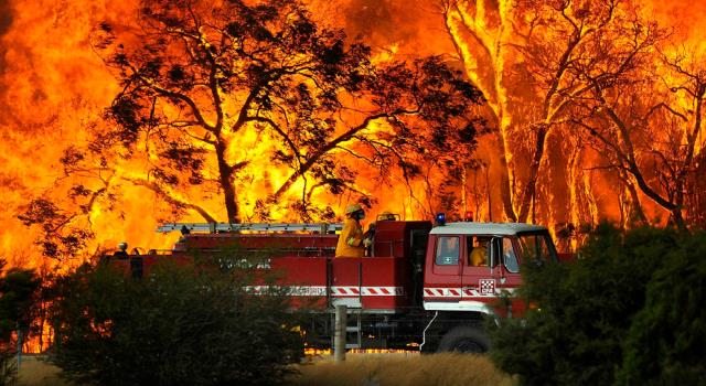 أستراليا: حرائق تجتاح مساحات شاسعة وتدمر