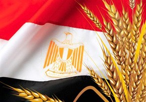 مصر تشتري 7 ر3 مليون طن