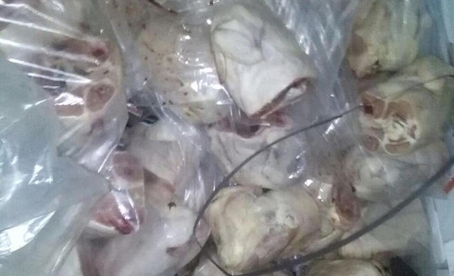 ضبط 130 طنا من اللحوم والأسماك