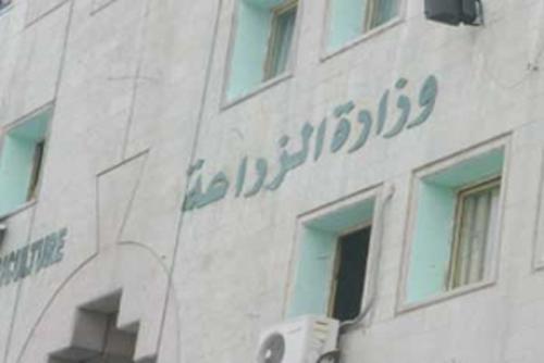 بالأسماء.. تنقلات في وزارة الزراعة