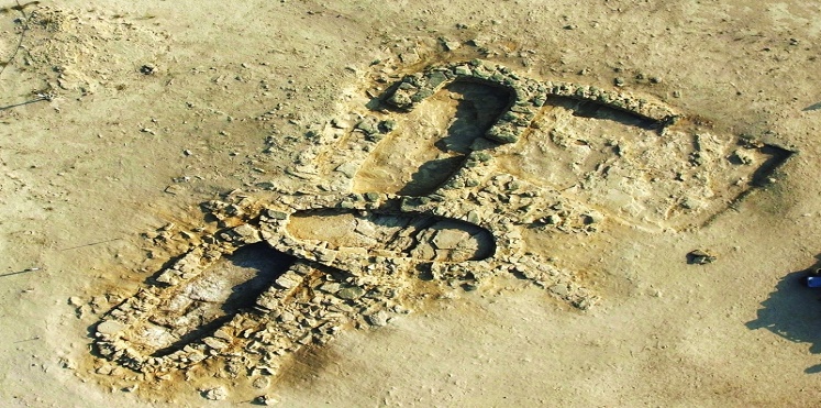 اكتشافات أثرية في أبوظبي تعود لأكثر