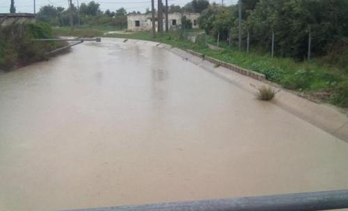 صيانة سياج قناة الملك عبدالله