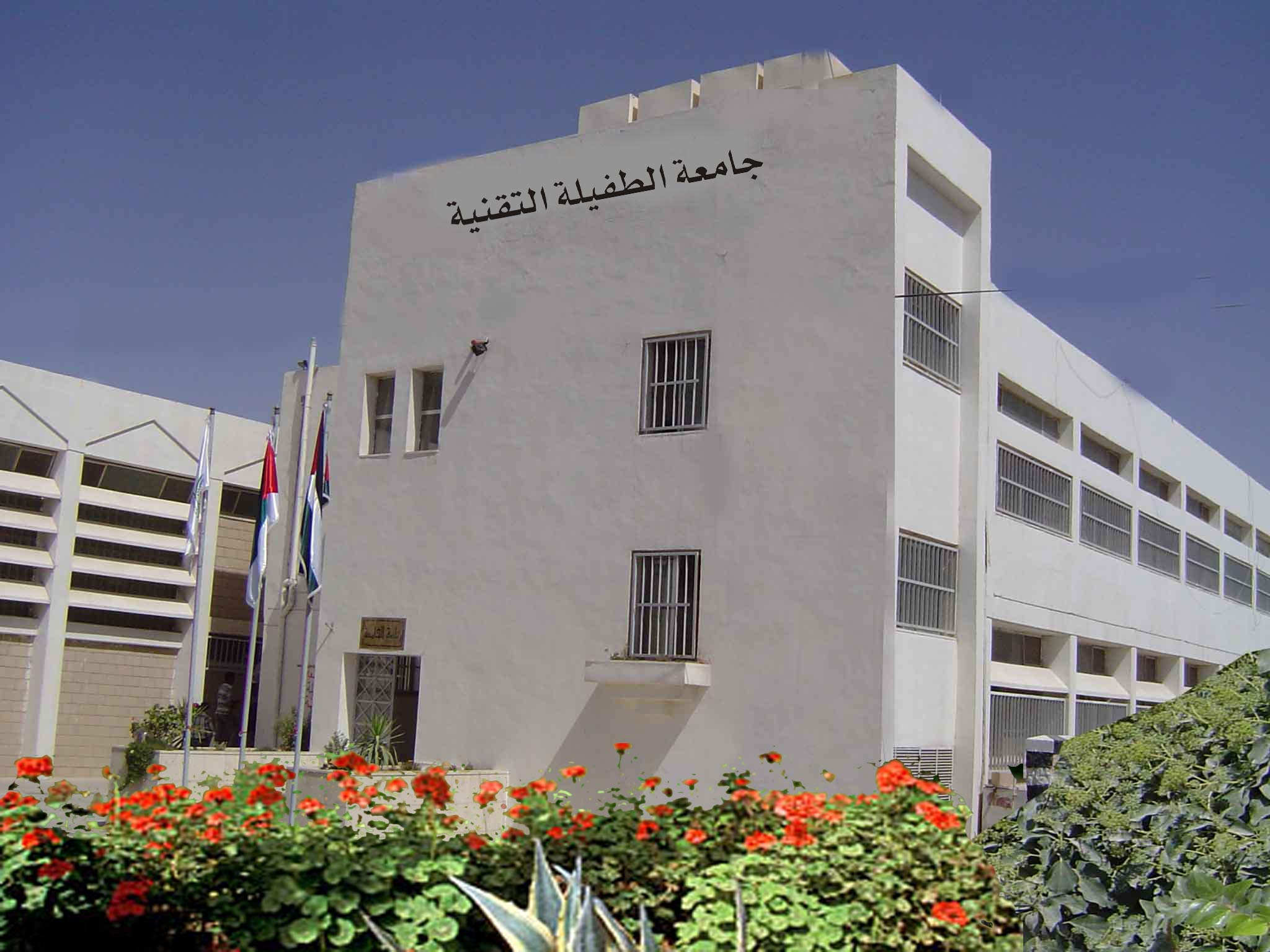 وظائف في (الطفيلة التقنية)