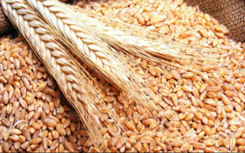 الأردن يشتري 50 ألف طن من