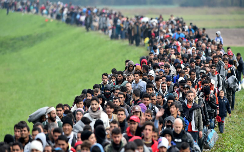 تزايد أعداد اللاجئين السوريين المغادرين ألمانيا