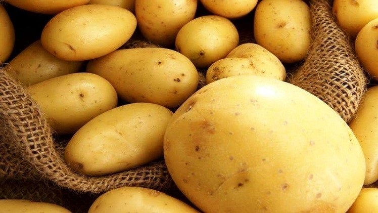 ضبط خمس اطنان من البطاطا الفاسدة