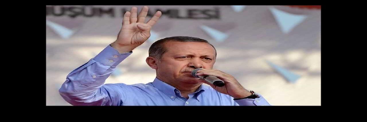أردوغان مجددا: رئيس مصر ليس السيسي