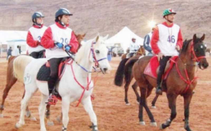 اختتام فعاليات البطولة الوطنية للخيول العربية