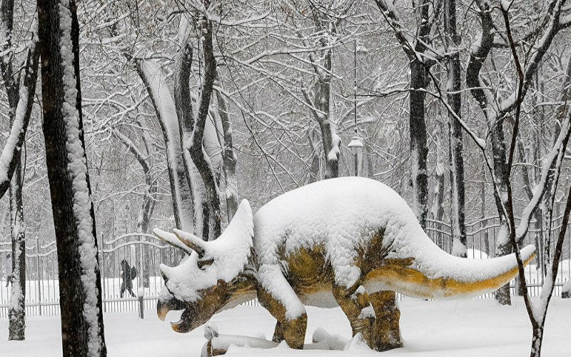 العثور على آثار أضخم حيوان في