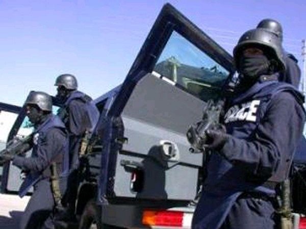 تفتيش أمني وكلاب بوليسية بالقرب من