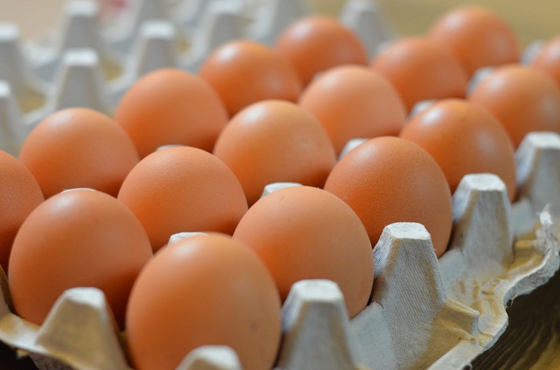 تحذيرات من شراء البيض المعروض في