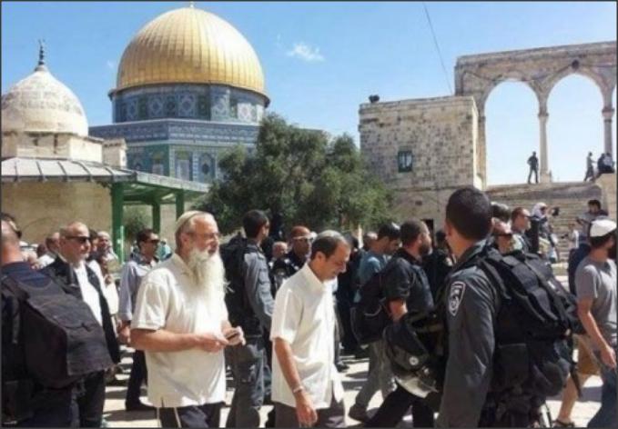 بالفيديو .. مستوطنون يقتحمون المسجد الأقصى