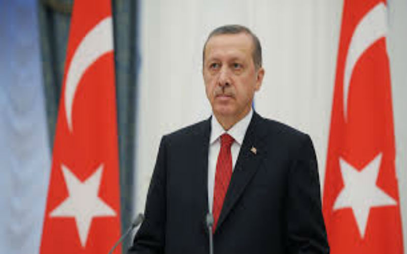 اردوغان يعلن إجراء انتخابات رئاسية وبرلمانية
