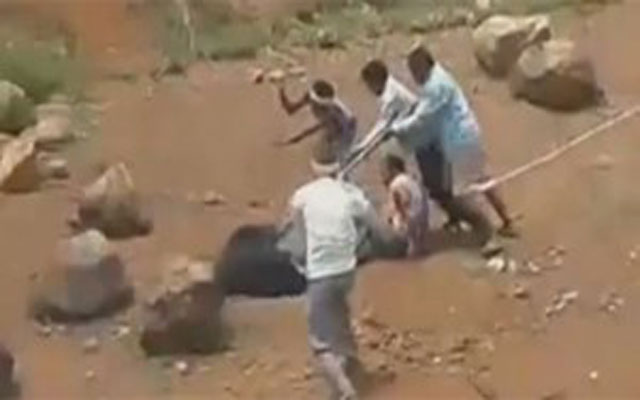 لحظة إنقاذ رجل من مخالب دب