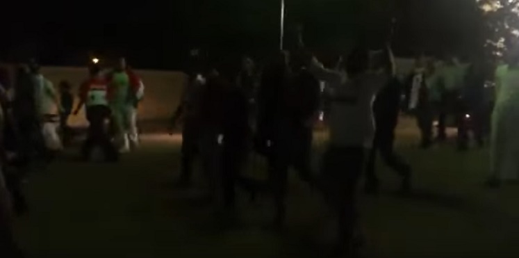 حقيقة هتافات “شبيحة للأبد لعيونك يالأسد”
