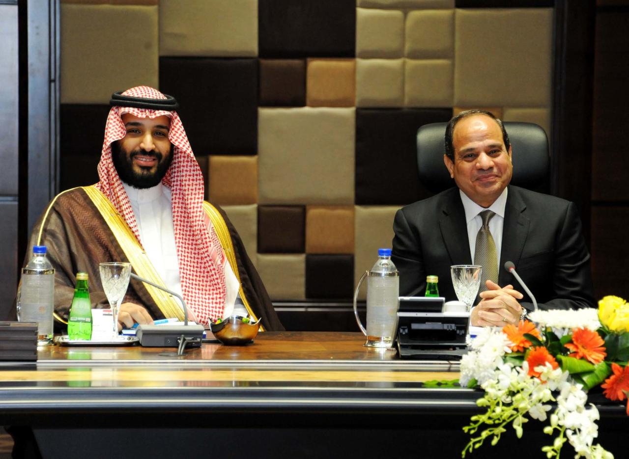 السيسي يغازل السعودية: مصر والسعودية جناحا