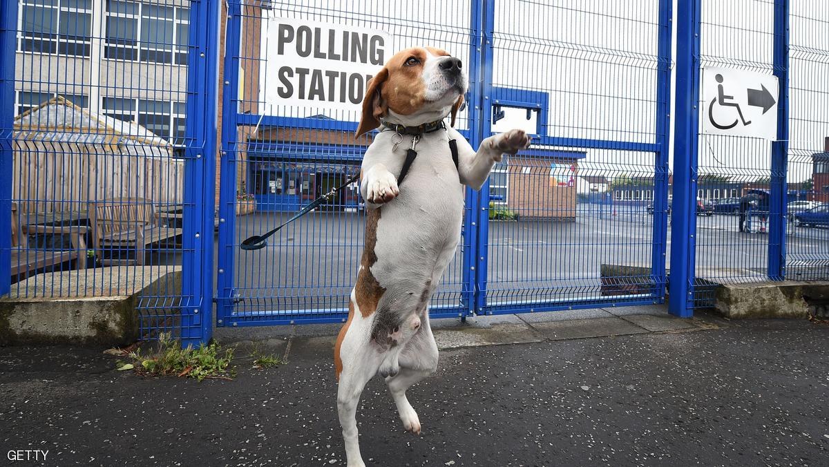 انتخاب كلب رئيسا لبلدية في ولاية