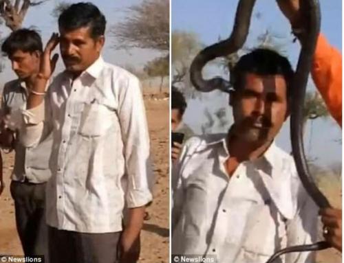 بالفيديو.. دفع حياته ثمنا لالتقاط فيديو