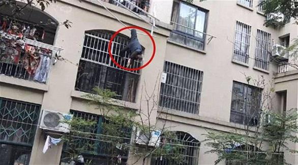 بالصور: حبل غسيل ينقذ تسعينيا سقط