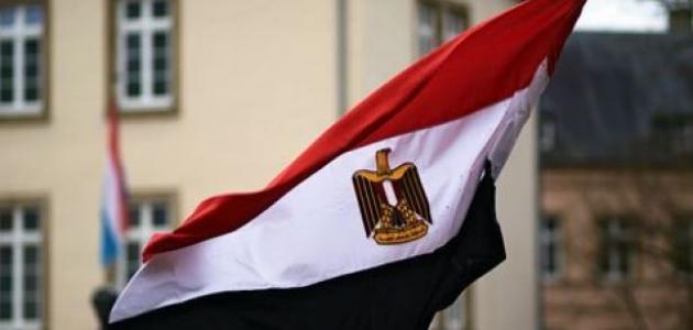 الخارجية المصرية تنفي التورط في زعزعة