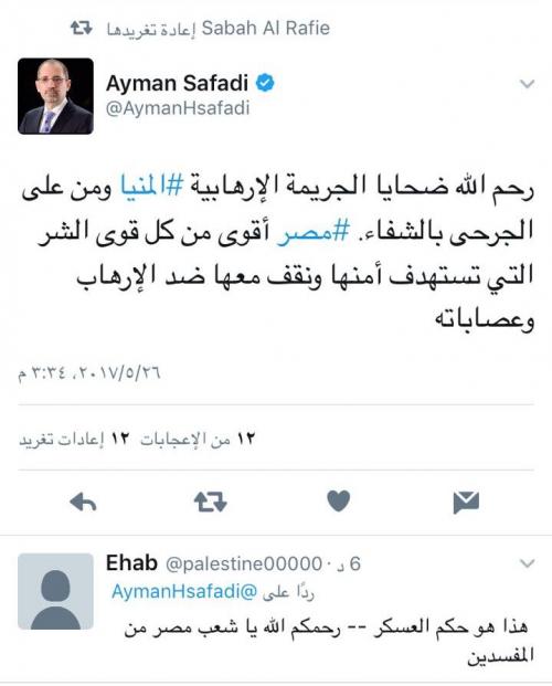 الصفدي: مصر اقوى
