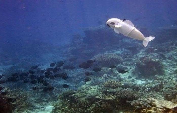 علماء يطورون سمكة آلية لدراسة الحياة