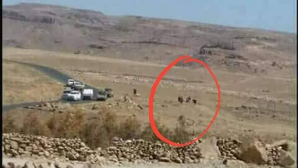 بالصور.. موكب صالح قبل الهجوم عليه