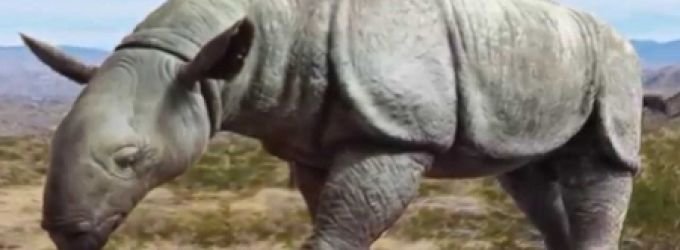 حيوانات انقرضت في 2017