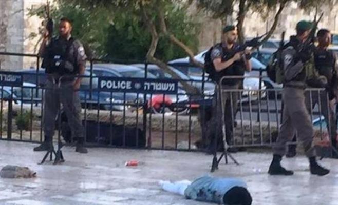 فاطمة.. طفلة فلسطينية أعدمها جنود الاحتلال