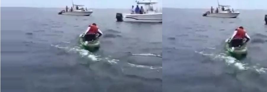 مقطع مرعب.. قرش يهاجم صيادا في