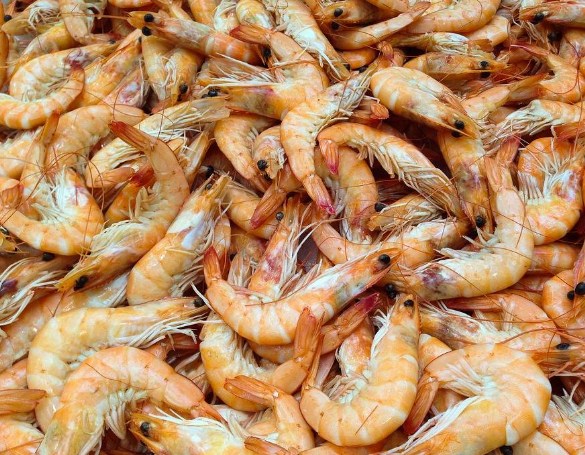 فتوى إسلامية تحرم أكل الجمبري