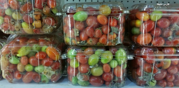عرض على (علب) بندورة معفنة بكبرى