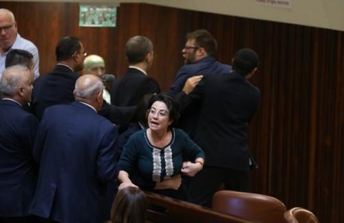 بالصور .. مشاجرة في الكنيست بين