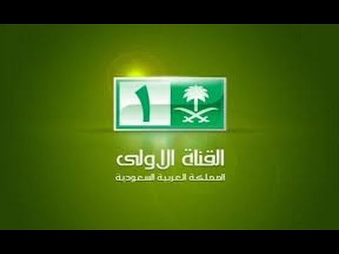 بالفيديو.. مذيع عربي يقع بخطأ (مضحك)