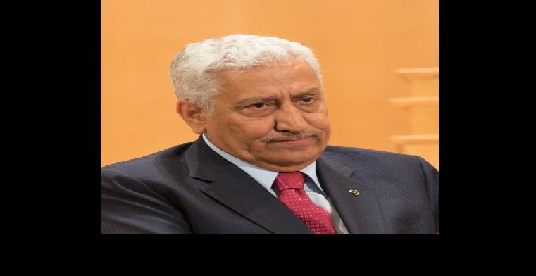 النسور: الاردن يتمتع بالمرونة اللازمة للتكيف