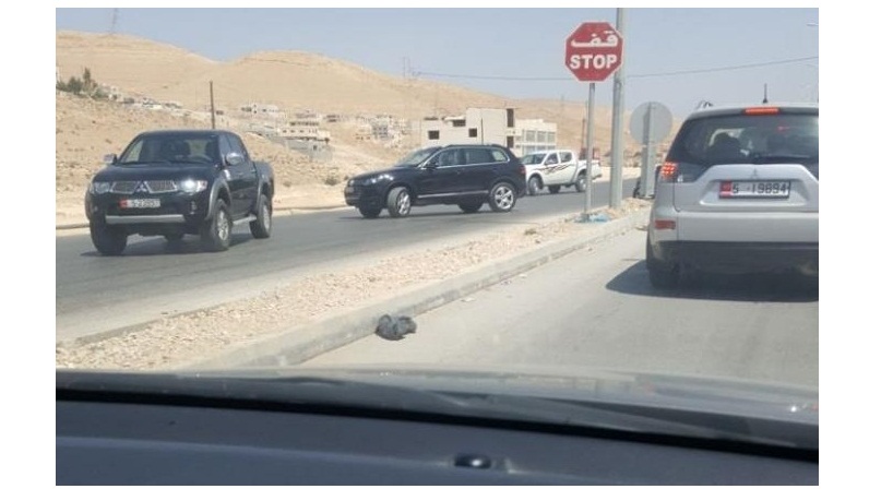 13 مركبة ترافق وزير الأشغال في