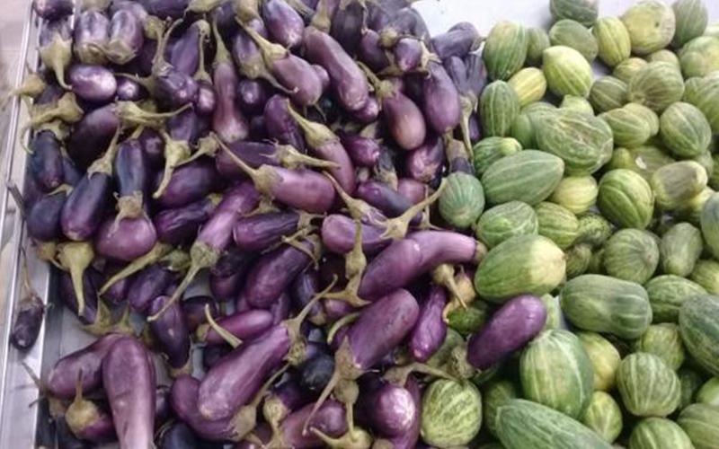 إتلاف 300 كغم خضار فاسدة في