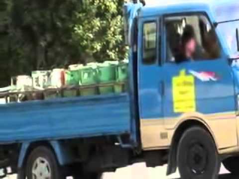 الأغوار الشمالية.. سرقة مركبة و(32) اسطوانة