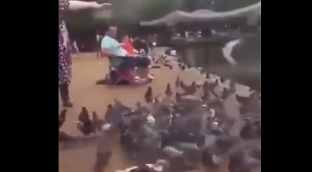 شاهد.. خليجي يوقع نفسه في موقف