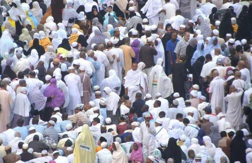 فقدان الحاج محمد عبد القادر الزيود