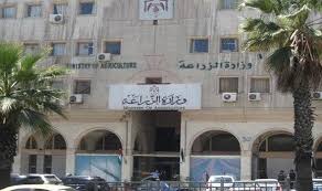 الزراعة تعوض 28 مزارعا 150 ألف