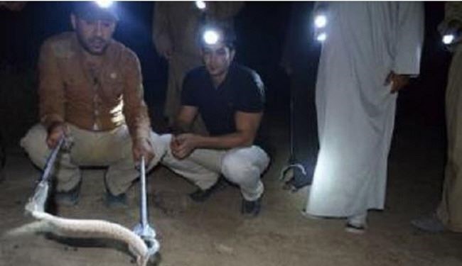بالصور.. عراقي لدغته أفعى فصار دمه
