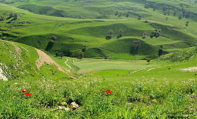أجواء دافئة بمختلف مناطق المملكة خلال