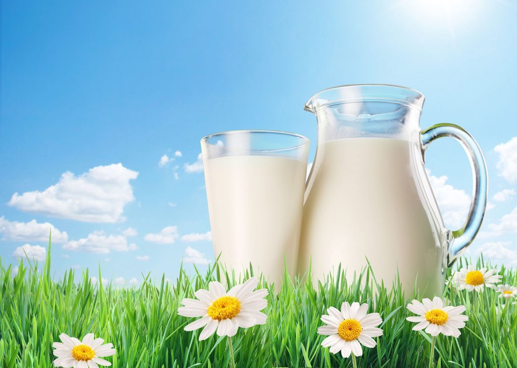 دراسة: الحليب كامل الدسم الأفضل لصحة